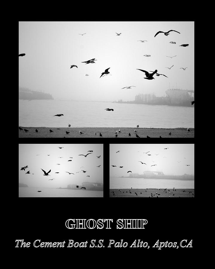 Ghost Ship #2 Photograph by AJ  Schibig