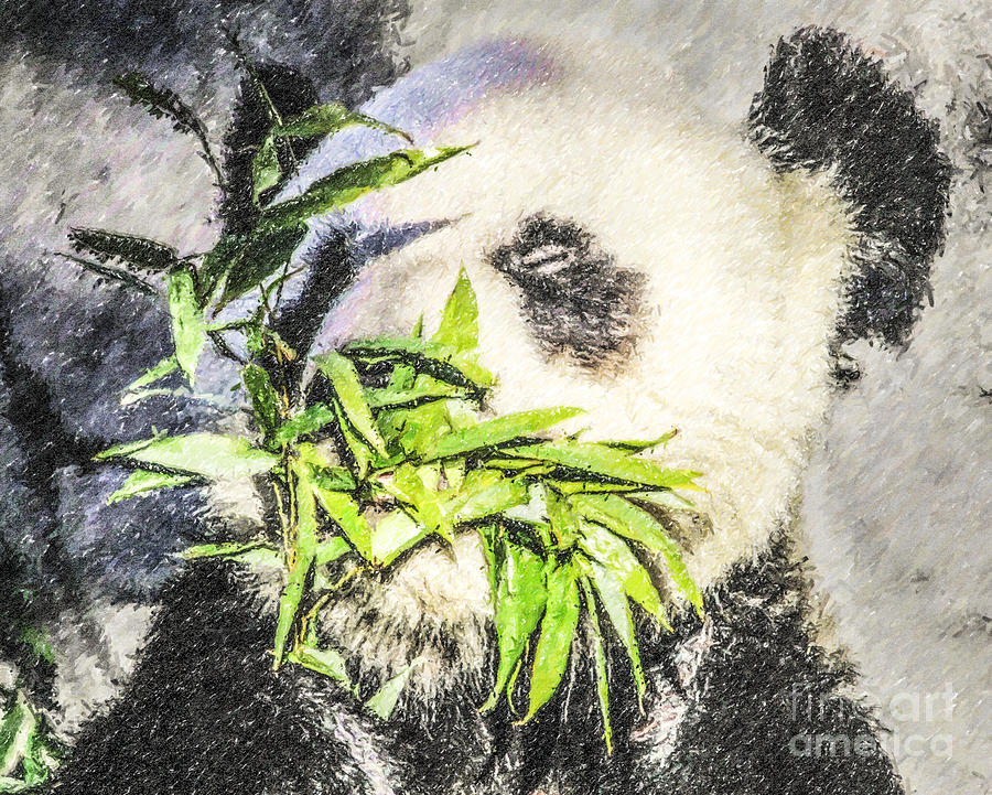 Giant Panda Ailuropoda melanoleuca #3 Digital Art by Liz Leyden