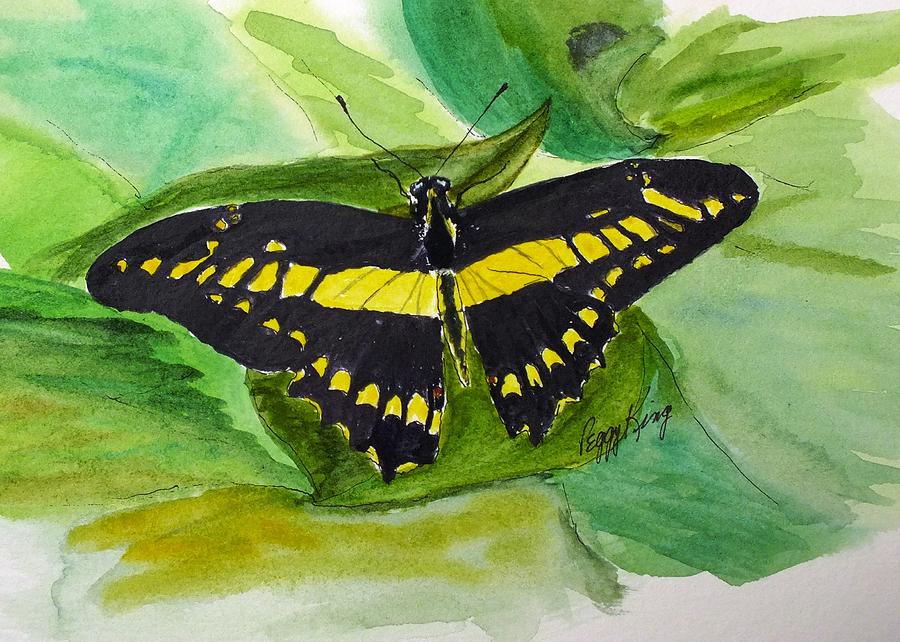 Giant Swallowtail #1 Painting by Peggy King