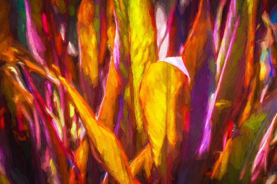 Ginger Leaves Abstract Painted #1 Photograph by Rich Franco