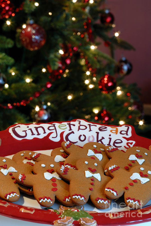 Christmas Photograph - Gingerbread Cookies on Platter #1 by Amy Cicconi