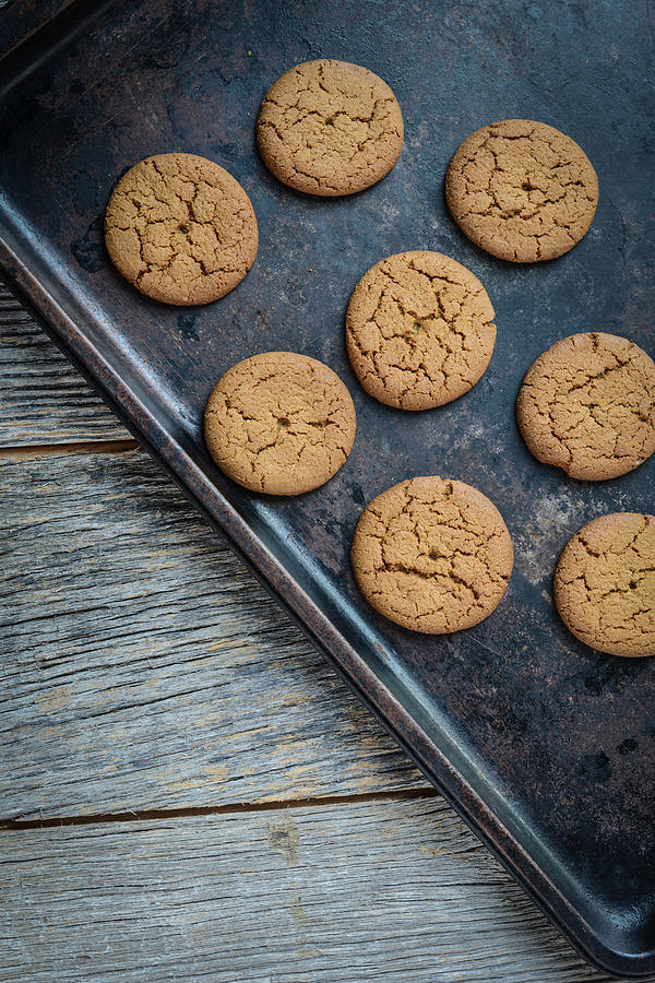 Christmas Photograph - Gingersnap cookies for Christmas on a Baking Pan #1 by Brandon Bourdages