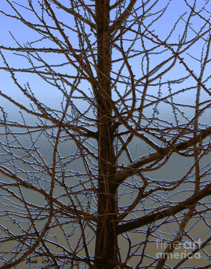 Tree Digital Art - Ginko in Winter #1 by Dale   Ford