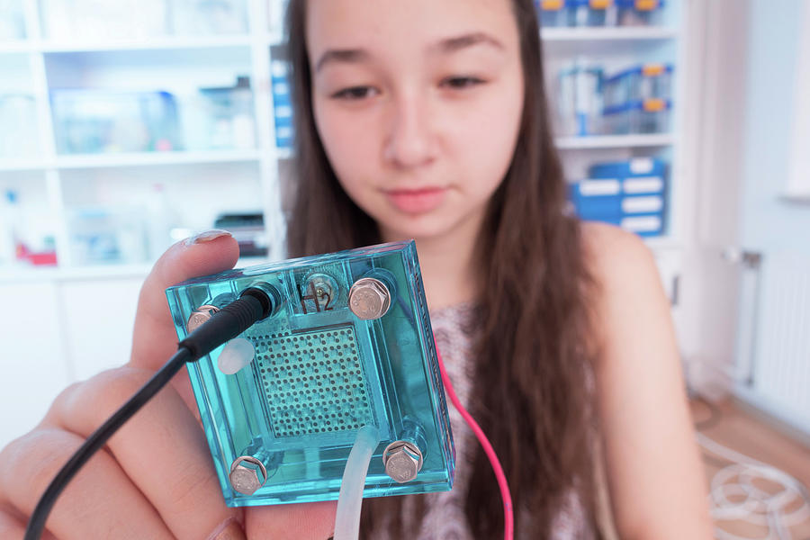 Girl Testing Proton Exchange Membrane Cell #1 Photograph by Wladimir Bulgar/science Photo Library