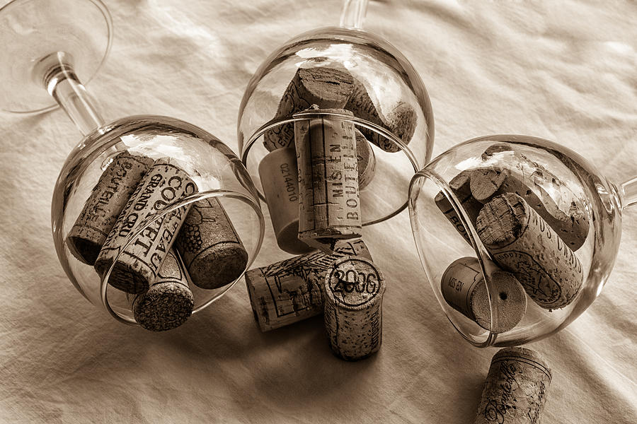 Glasses of Corks toned Photograph by Georgia Clare