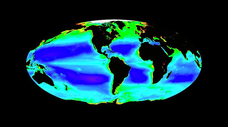 Global Chlorophyll Levels Photograph by Nasa/seawifs/geoeye - Fine Art ...