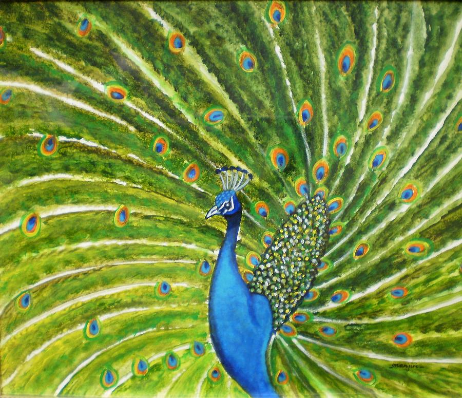 Glorious Peacock Photograph by Manjiri Kanvinde