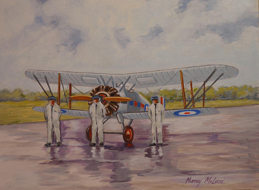 Gloster Gamecock #1 Painting by Murray McLeod