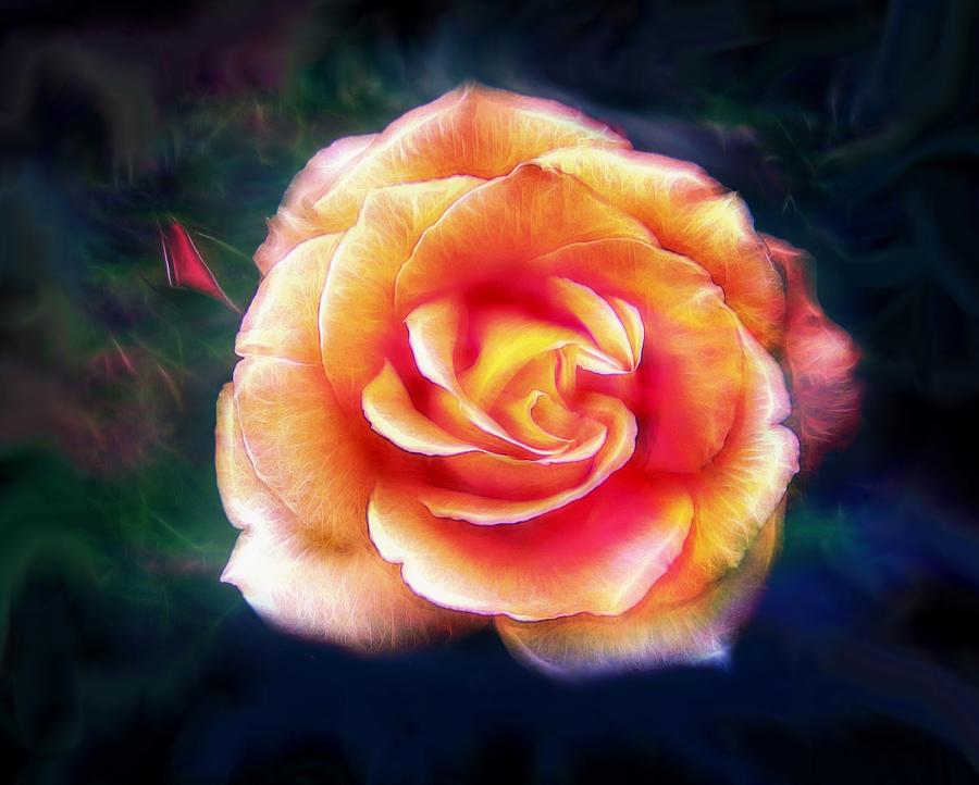 Glowing Rose Digital Art by Lilia D
