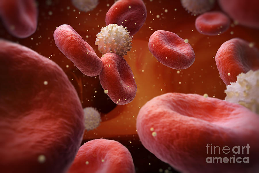 Glucose In Blood #1 Photograph by Science Picture Co