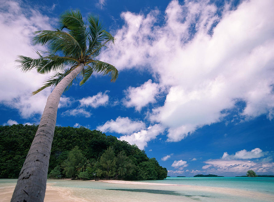 Gnemelis Island, Palau #1 Photograph by F. Stuart Westmorland