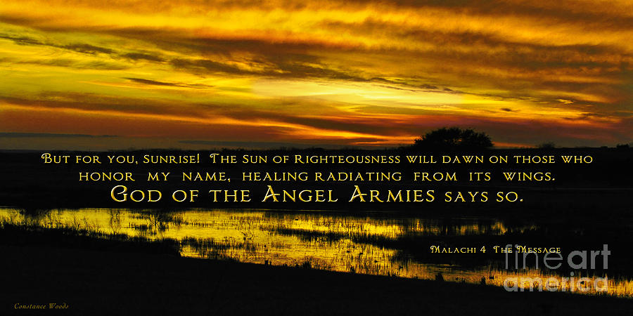 Gold Sunset With Scripture Photograph by Constance Woods