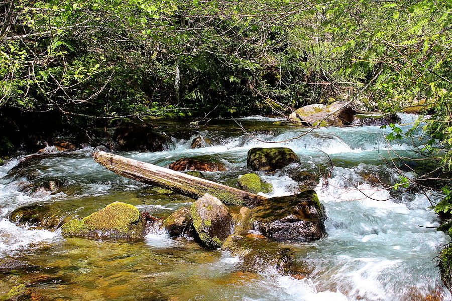 Goddard Creek Photograph by Tim Rice - Fine Art America