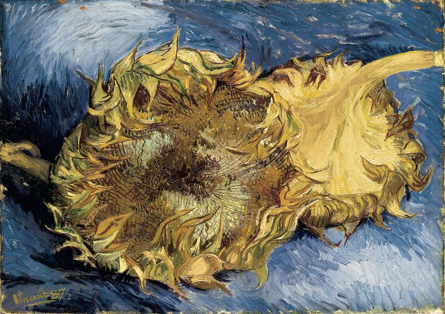 Gogh, Vincent Van 1853-1890 #1 Photograph by Everett