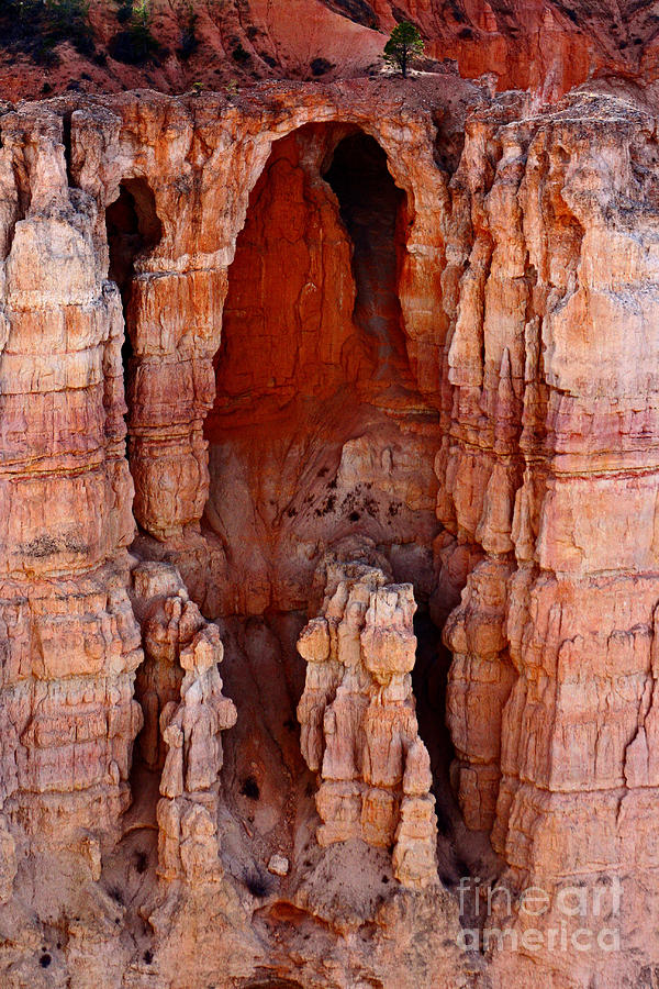 Bryce Canyon National Park Photograph - Going To Church by John Langdon