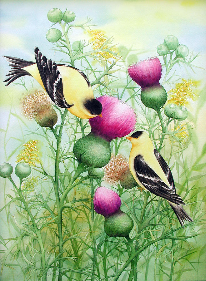 Gold Finches on Thistles #1 Painting by Johanna Axelrod