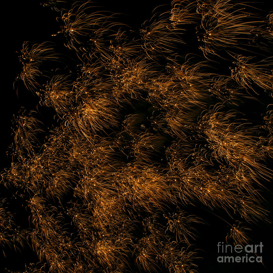 Salem Photograph - Gold Fireworks #1 by M J