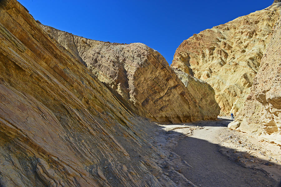 Golden Canyon - Death Valley #1 Photograph by Dana Sohr