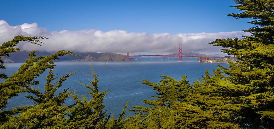 Golden Gate Bridge #1 Photograph by Mark Llewellyn