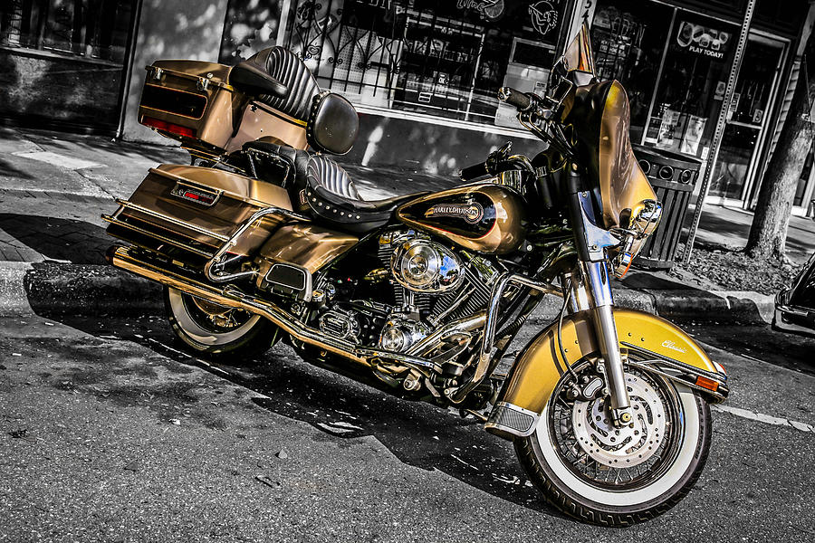 Golden Harley #1 Photograph by Chris Smith