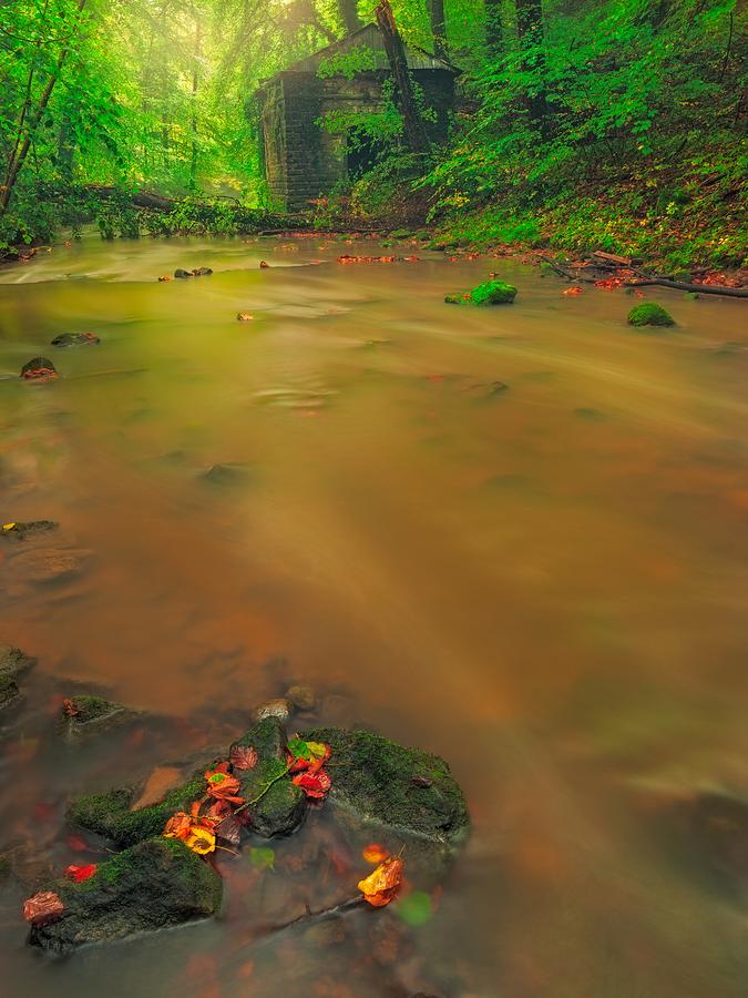 Golden river #1 Photograph by Maciej Markiewicz