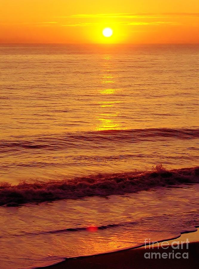 Golden - Sunrise Photograph by D Hackett