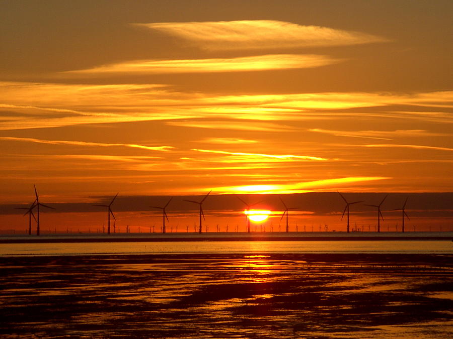 Golden Sunset over a Wind Farm 2 Photograph by Steve Kearns