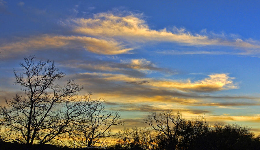 Golden Texas Sunset #1 Photograph by Linda Phelps
