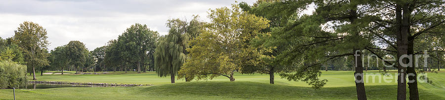 Golf Course at Winged Foot Golf Club #1 Photograph by David Oppenheimer