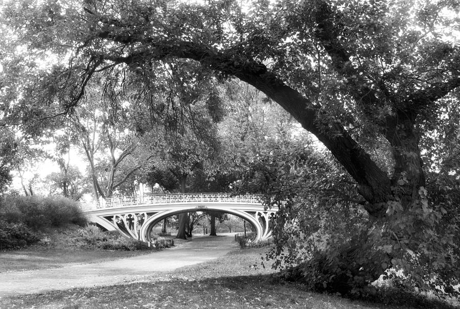 Central Park Photograph - Gothic Bridge Monochrome by Jessica Jenney