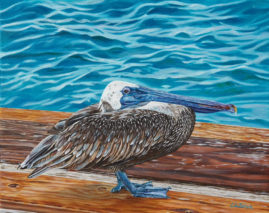Grace Bay Pelican #1 Painting by Liz Zahara