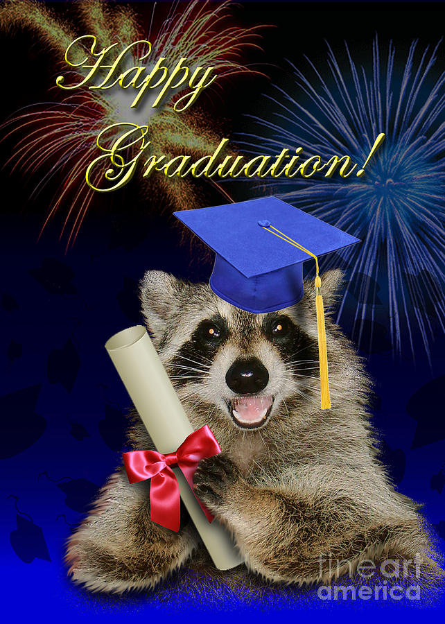 Nature Photograph - Graduation Raccoon #1 by Jeanette K