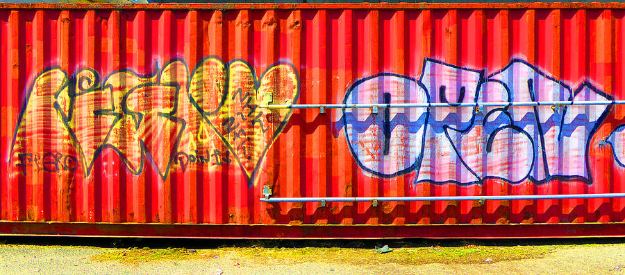 Graffiti 11 Photograph by Laurie Tsemak