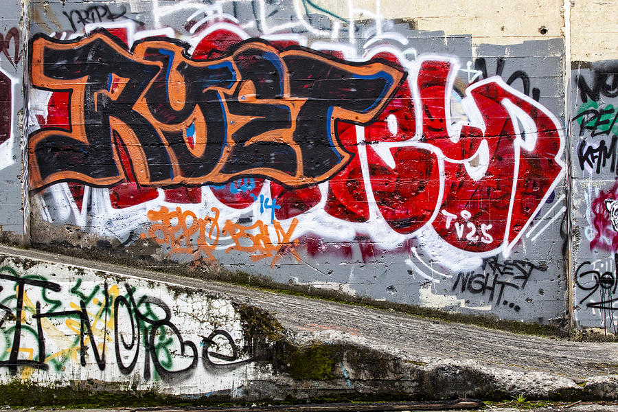 City Photograph - Graffiti #1 by Carol Leigh