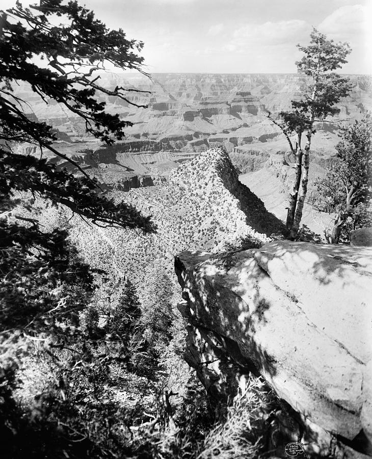 Grand Canyon, C1906 #1 Photograph by Granger