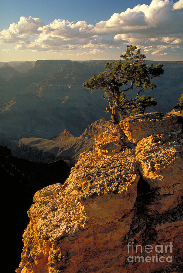Grand Canyon Photograph by George Ranalli