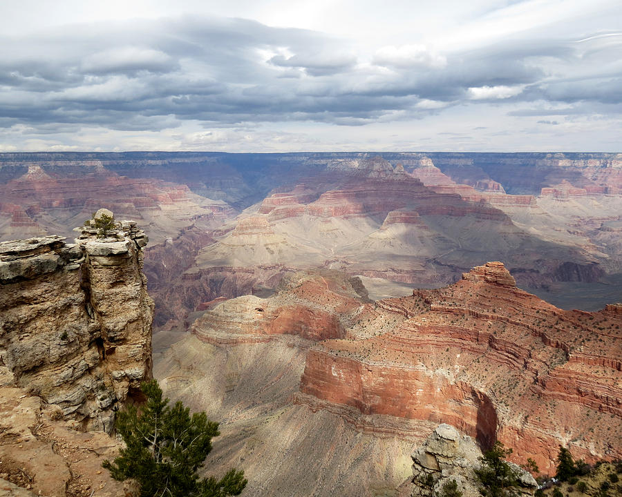 Grand Canyon National Park #1 Photograph by Laurel Powell