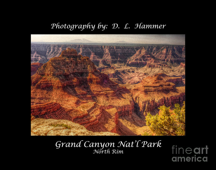Grand Canyon Natl Park #1 Photograph by Dennis Hammer