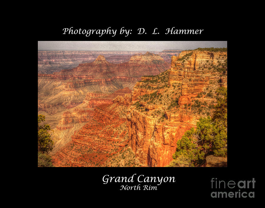 Grand Canyon North Rim #1 Photograph by Dennis Hammer