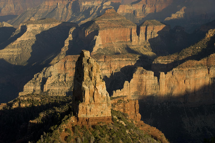 Grand Canyon North Rim #1 Photograph by Tom Vezo