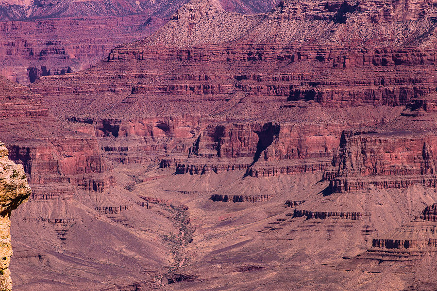 Grand Canyon #1 Photograph by Robert Hebert