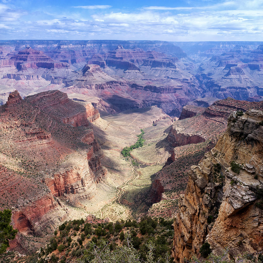 Grand Canyon Square Panorama Photograph