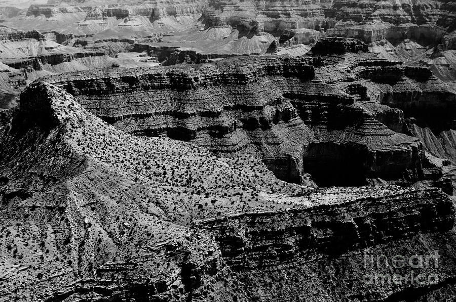 Grand Canyon #1 Photograph by Thomas R Fletcher