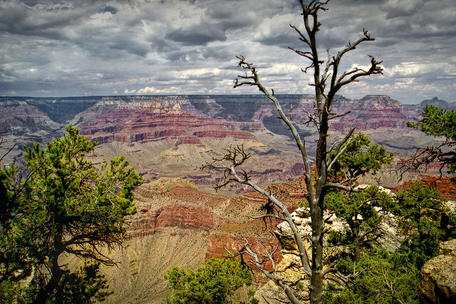 Grand Canyon National Park Photograph - Grand Canyon View from the South Rim #1 by Randall Nyhof