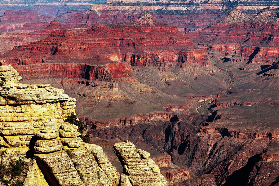 Grand Canyons #1 Photograph by Lucynakoch
