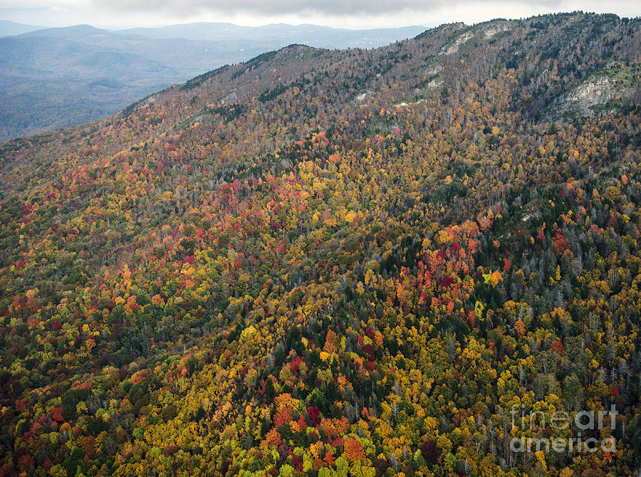 Grandfather Mountain State Park Autumn Colors #2 Photograph by David Oppenheimer