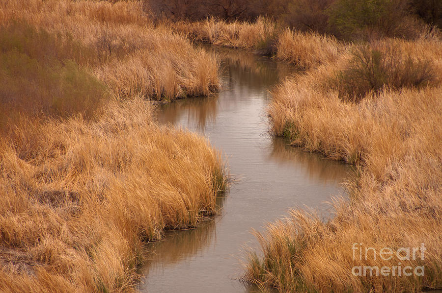 Grass And Stream, Arizona #1 Photograph by Richard and Ellen Thane