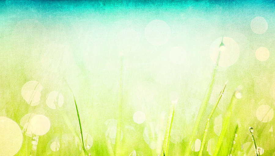 Grass With Natural Bokeh #1 Photograph by Catlane