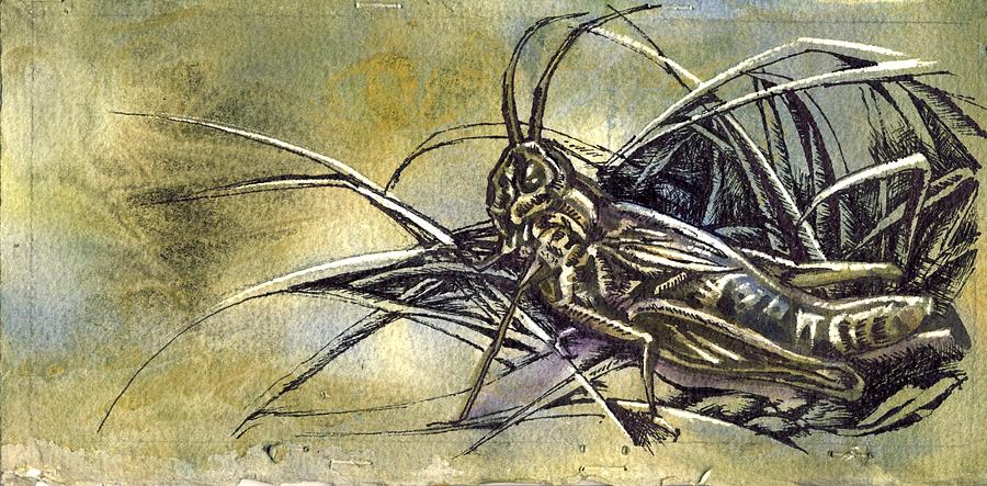 Grasshopper Painting - Grasshopper #1 by Alfred Ng