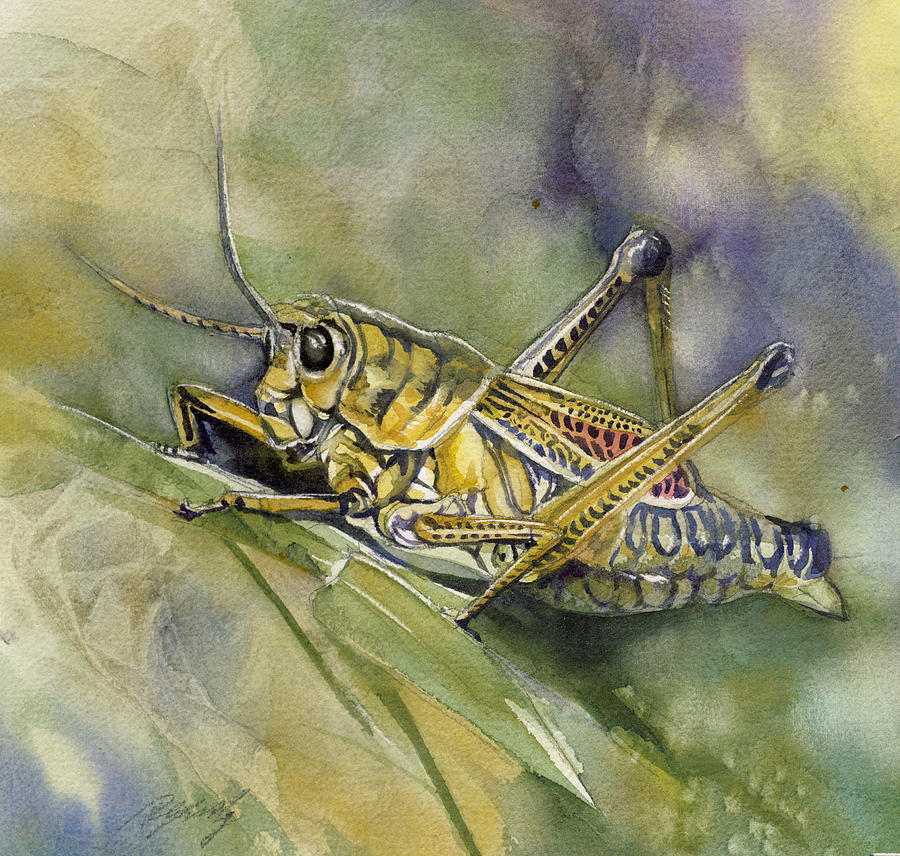 Grasshopper Watercolor #1 Painting by Alfred Ng